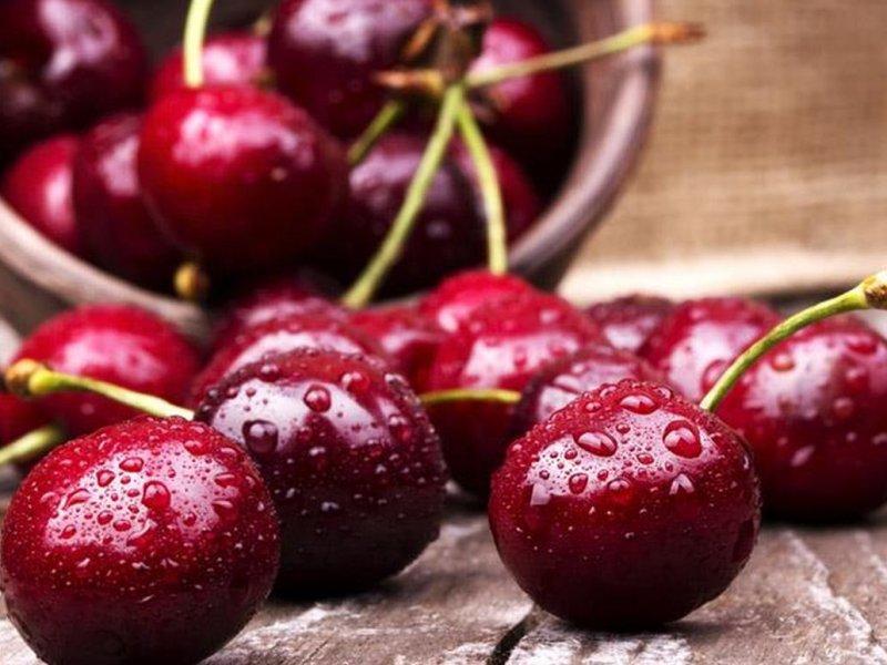 Вишня купить саженцы из питомника в Белово