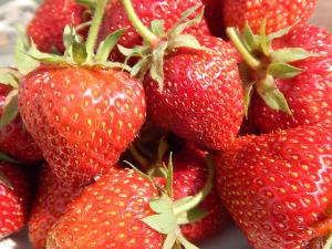 клубника Виктория ремонтантная 7 шт.